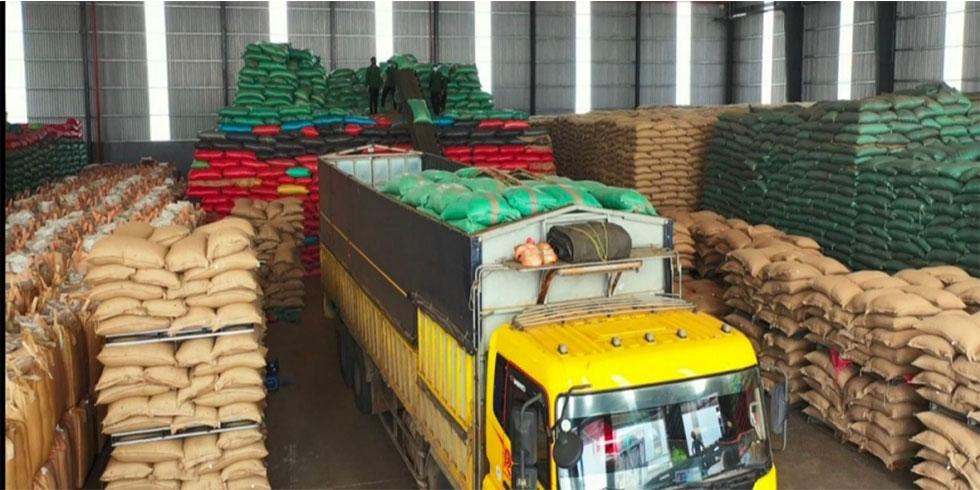 Indian agricultural products prepared for international export logistics