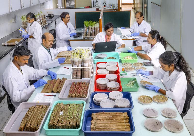 Quality-focused sourcing of Indian agricultural products for export