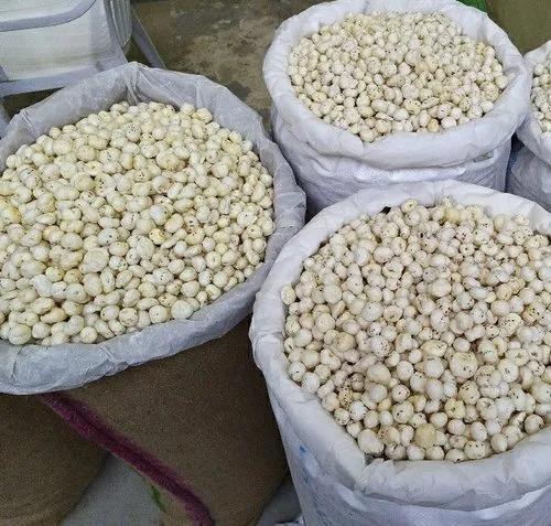 Indian makhana fox nuts for export