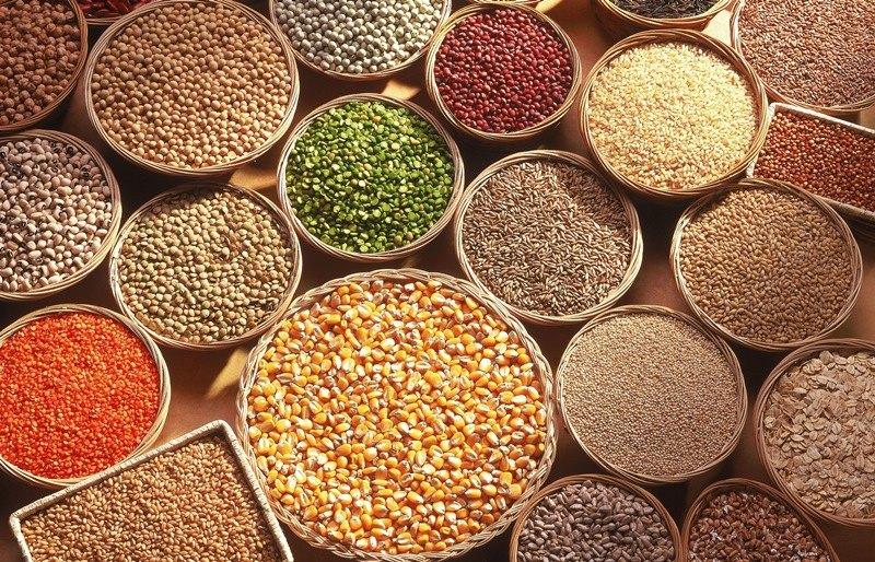 Indian spices cereals and pulses for agricultural export