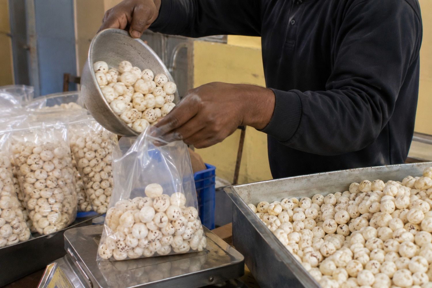 Indian fox nuts Makhana supplier