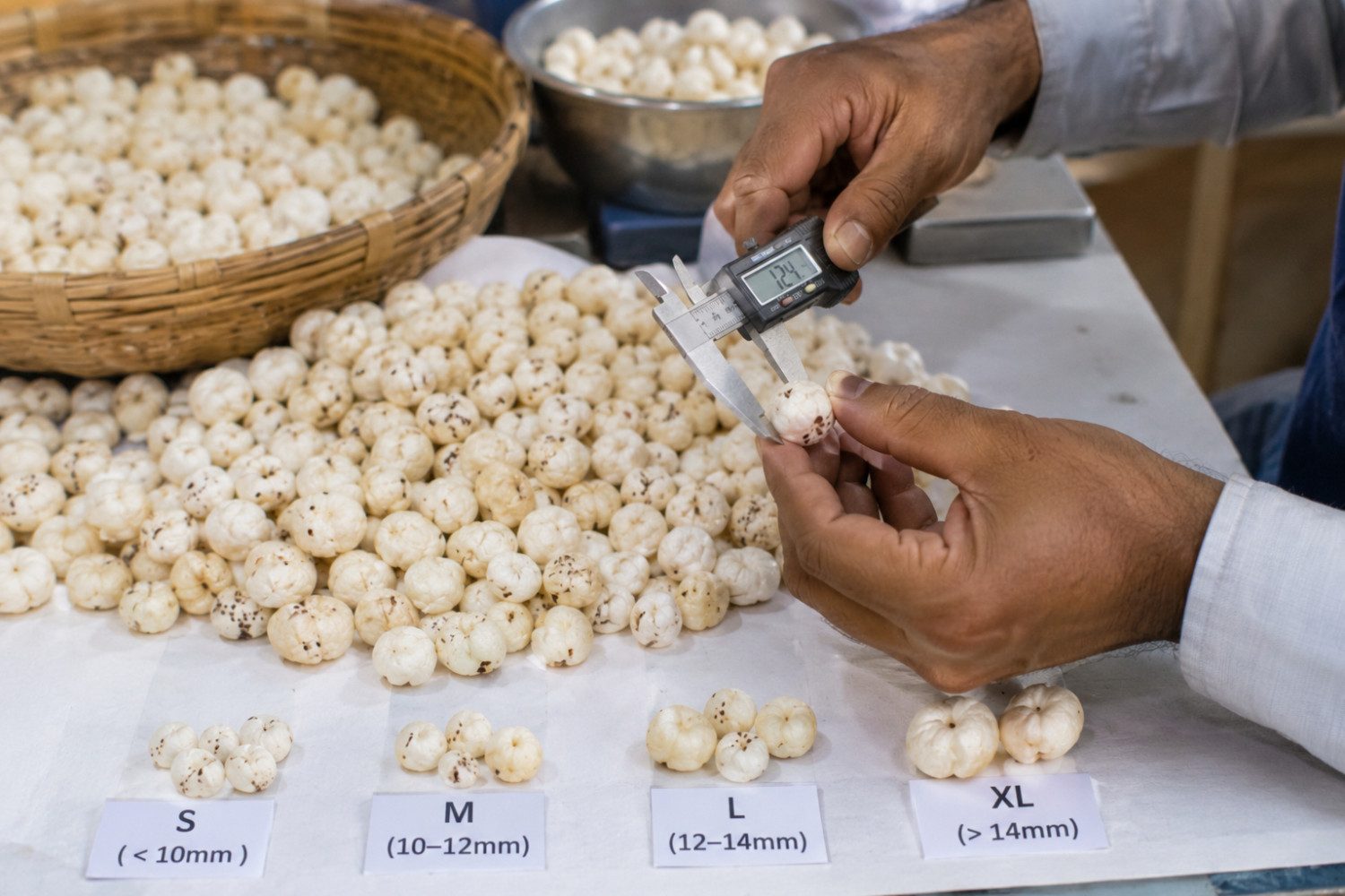 Indian Makhana quality inspection and grading for export