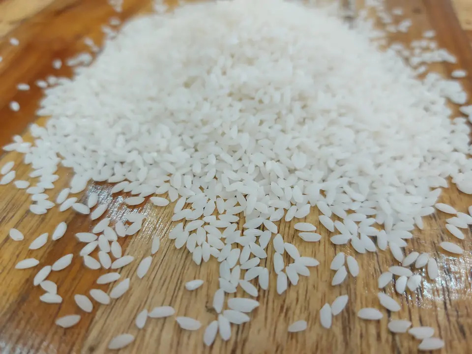 Indian Non Basmati rice for export