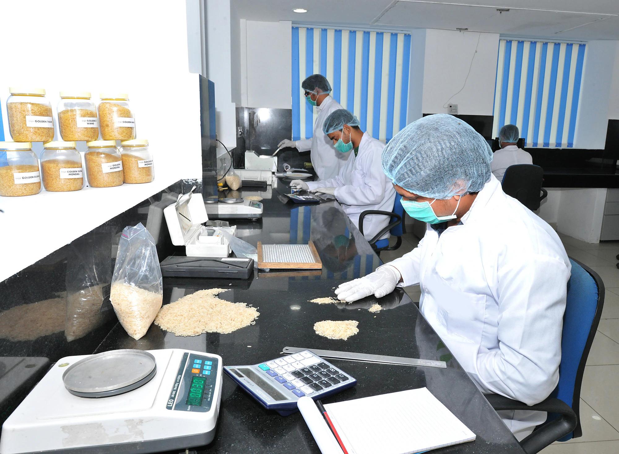Quality inspection of Indian rice for international export