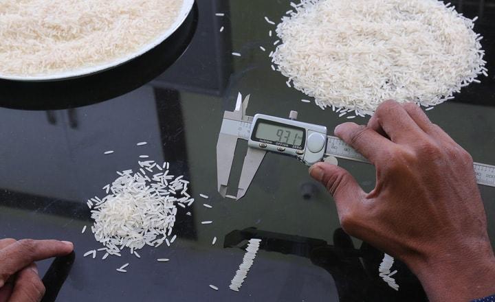 Quality-focused Indian rice sourcing for export